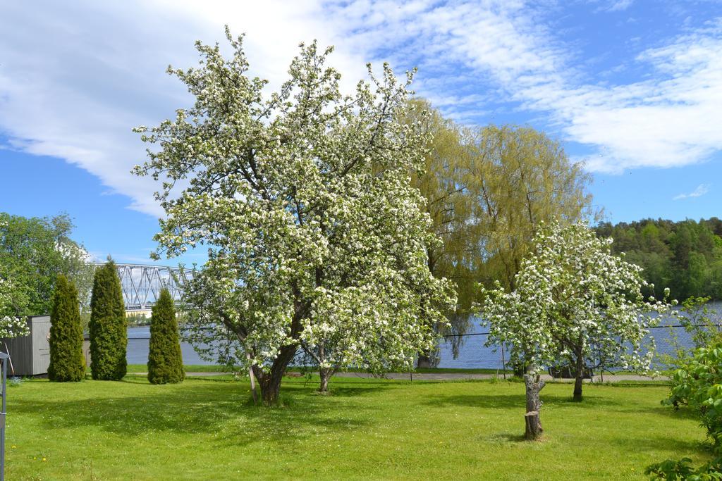 Lossiranta Lodge Savonlinna Exterior foto